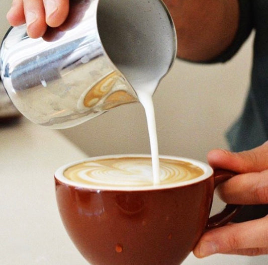 Introduction to Latte Art